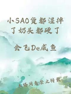 小SAO货都湿掉了奶头都硬了