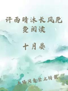 许雨晴沐长风免费阅读