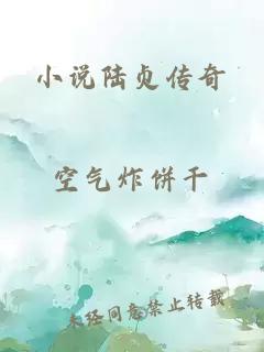 小说陆贞传奇