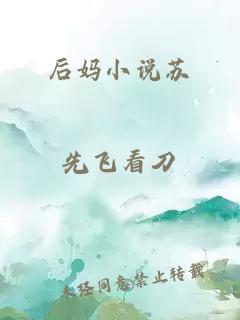 后妈小说苏