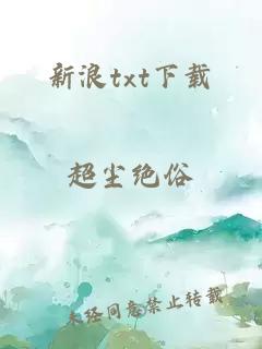 新浪txt下载