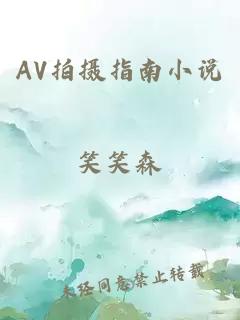 AV拍摄指南小说