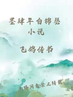 墨肆年白锦瑟 小说