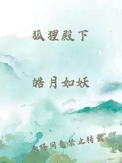 狐狸殿下