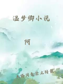 温梦卿小说