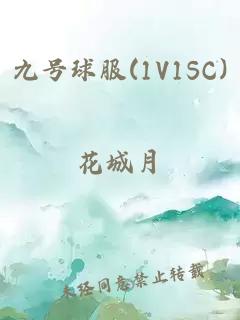 九号球服(1V1SC)