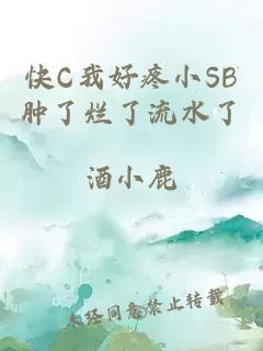 快C我好疼小SB肿了烂了流水了