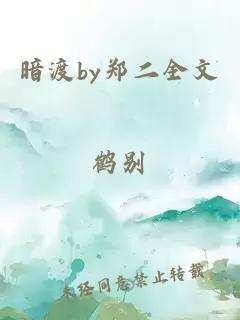 暗渡by郑二全文