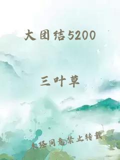 大团结5200