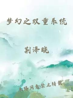 梦幻之双重系统