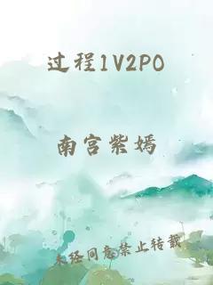 过程1V2PO