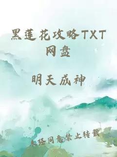 黑莲花攻略TXT网盘