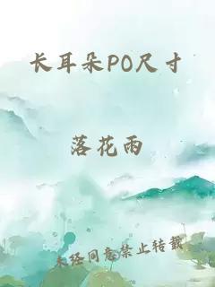 长耳朵PO尺寸