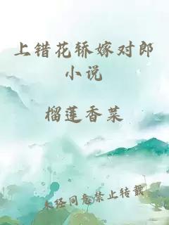 上错花轿嫁对郎小说