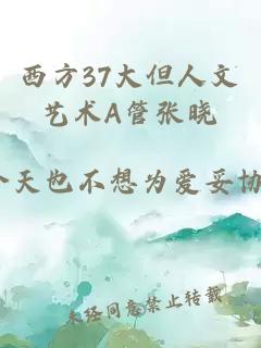 西方37大但人文艺术A管张晓