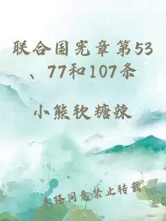 联合国宪章第53、77和107条