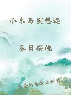 小东西别想逃