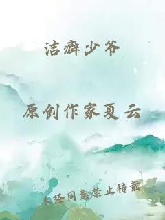 洁癖少爷