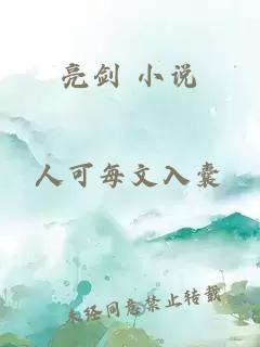 亮剑 小说