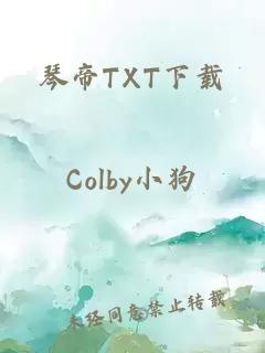 琴帝TXT下载