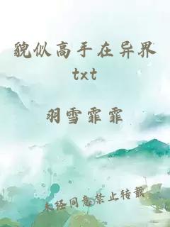 貌似高手在异界txt