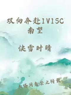 双向奔赴1V1SC南望