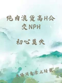 纯肉浪货高H公交NPH