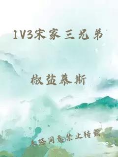 1V3宋家三兄弟