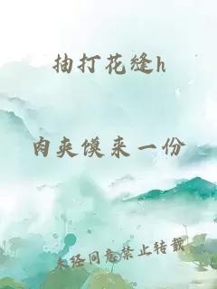 抽打花缝h