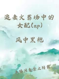 追妻火葬场中的女配(np)