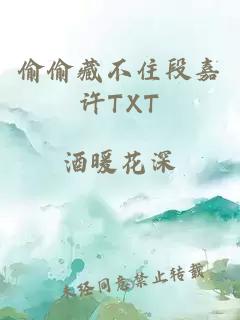 偷偷藏不住段嘉许TXT