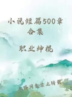 小说短篇500章合集