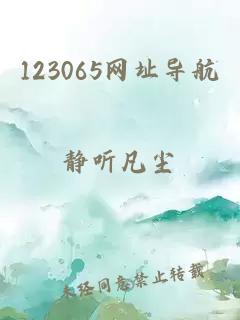 123065网址导航