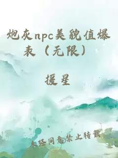 炮灰npc美貌值爆表（无限）