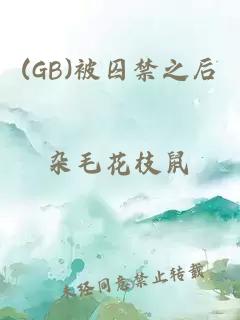 (GB)被囚禁之后