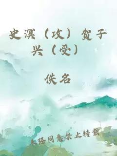 史溟（攻）贺子兴（受）