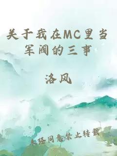 关于我在MC里当军阀的三事