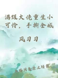 满级大佬重生小可怜，手撕全城