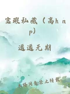 宝瑕私藏（高h np）