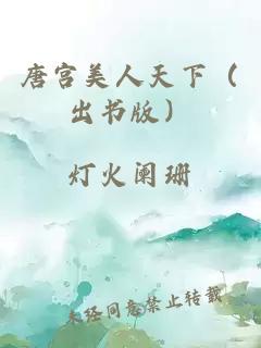 唐宫美人天下（出书版）