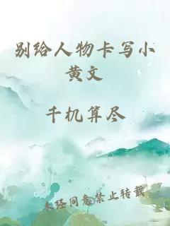 别给人物卡写小黄文