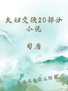 夫妇交换20部分小说