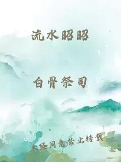 唐砖 小说