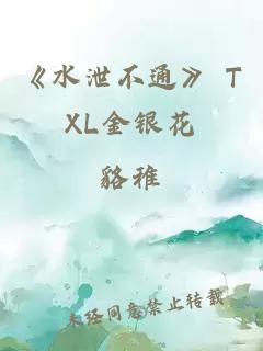 《水泄不通》 TXL金银花