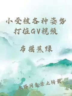 小受被各种姿势打桩GV视频