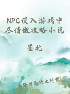 NPC误入游戏中尽情做攻略小说