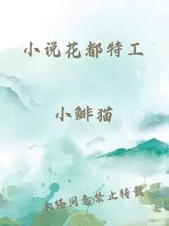 小说花都特工