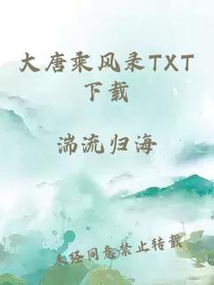 大唐乘风录TXT下载