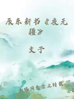 辰东新书《夜无疆》