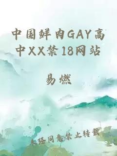 中国鲜肉GAY高中XX禁18网站